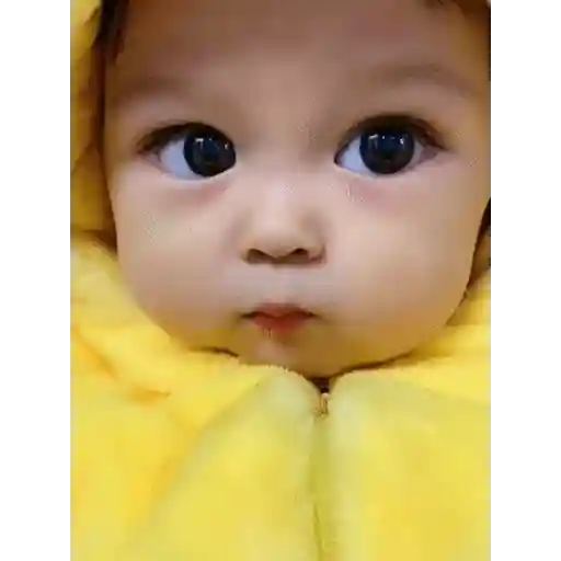 Pattam_Poochi